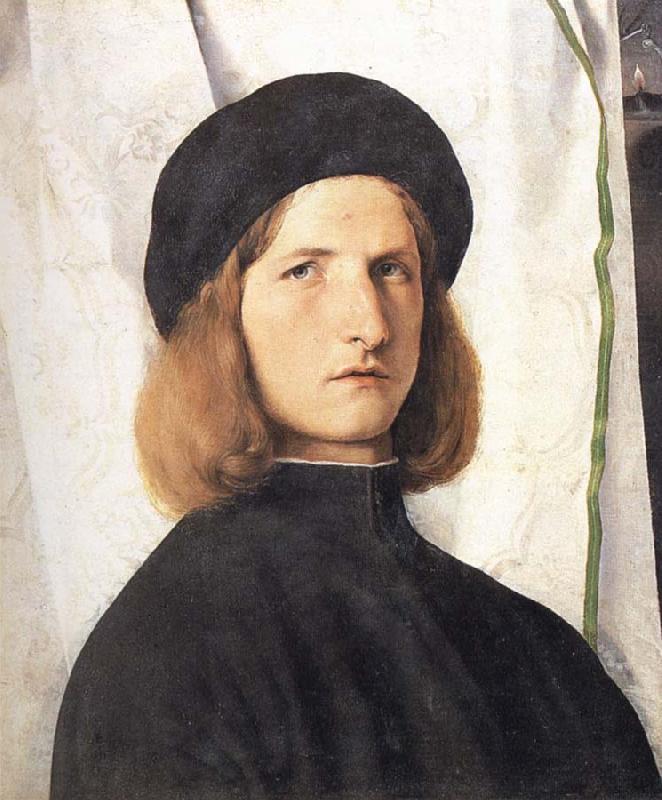 Portrait of a young man against a white curtain, Lorenzo Lotto